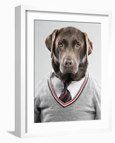 Dog in a sweater-Justin Paget-Framed Photographic Print