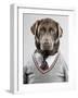 Dog in a sweater-Justin Paget-Framed Photographic Print