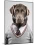 Dog in a sweater-Justin Paget-Mounted Photographic Print