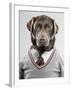 Dog in a sweater-Justin Paget-Framed Photographic Print