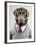 Dog in a sweater-Justin Paget-Framed Photographic Print