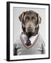 Dog in a sweater-Justin Paget-Framed Photographic Print