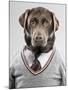 Dog in a sweater-Justin Paget-Mounted Photographic Print