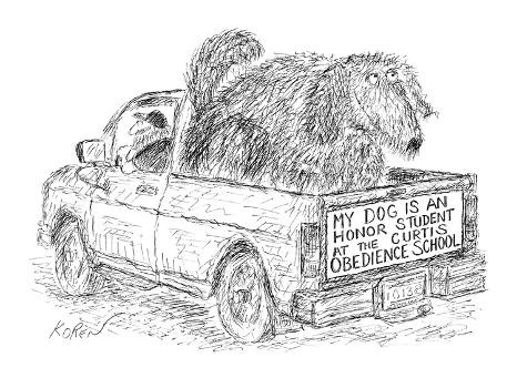 Dog in back of pickup truck which has a bumper sticker that reads: 'My do… - New Yorker Cartoon' Premium Giclee Print - Edward Koren Dog in back of pickup truck which has a bumper sticker that reads: 'My do… - New Yorker Cartoon' Premium Giclee Print - Edward Koren