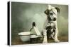 Dog in Bandages-null-Stretched Canvas