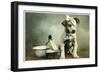 Dog in Bandages-null-Framed Giclee Print