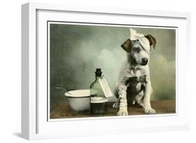 Dog in Bandages-null-Framed Giclee Print