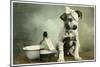 Dog in Bandages-null-Mounted Giclee Print