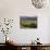 Dog in Knutsen Vineyard, Willamette Valley, Oregon, USA-Janis Miglavs-Photographic Print displayed on a wall