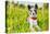 Dog in Meadow-Javier Brosch-Stretched Canvas