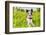 Dog in Meadow-Javier Brosch-Framed Photographic Print