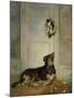 Dog in Mourning, c.1870-Henry Bacon-Mounted Art Print