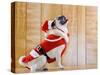 Dog in Santa Suit-Don Mason-Stretched Canvas