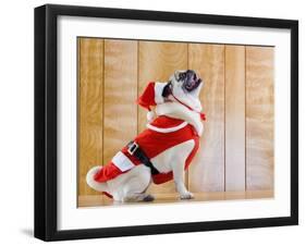 Dog in Santa Suit-Don Mason-Framed Premium Photographic Print
