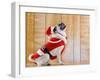 Dog in Santa Suit-Don Mason-Framed Premium Photographic Print