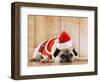 Dog in Santa Suit-Don Mason-Framed Photographic Print