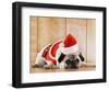 Dog in Santa Suit-Don Mason-Framed Photographic Print