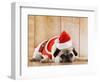 Dog in Santa Suit-Don Mason-Framed Photographic Print