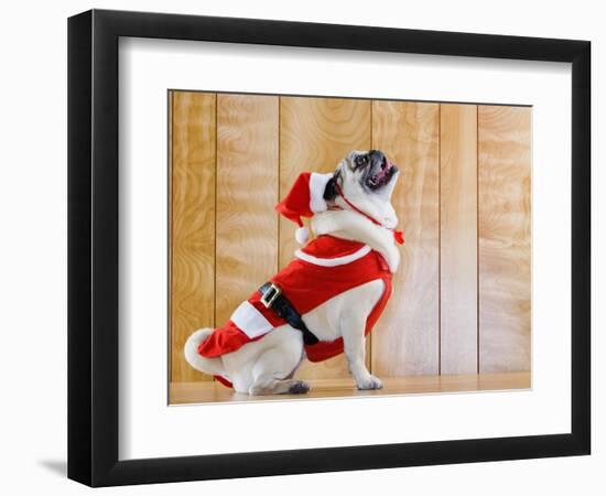 Dog in Santa Suit-Don Mason-Framed Photographic Print