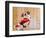 Dog in Santa Suit-Don Mason-Framed Photographic Print