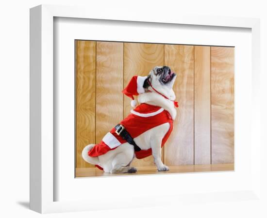 Dog in Santa Suit-Don Mason-Framed Photographic Print