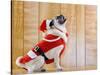 Dog in Santa Suit-Don Mason-Stretched Canvas