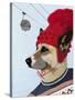 Dog in Ski Sweater-Fab Funky-Stretched Canvas