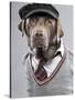 Dog in sweater and cap-Justin Paget-Stretched Canvas