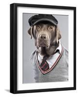 Dog in sweater and cap-Justin Paget-Framed Photographic Print