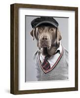 Dog in sweater and cap-Justin Paget-Framed Photographic Print