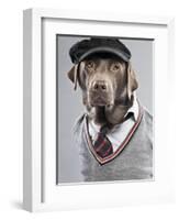 Dog in sweater and cap-Justin Paget-Framed Photographic Print