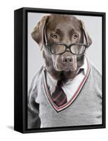 Dog in Sweater and Glasses-Justin Paget-Framed Stretched Canvas