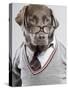 Dog in Sweater and Glasses-Justin Paget-Stretched Canvas