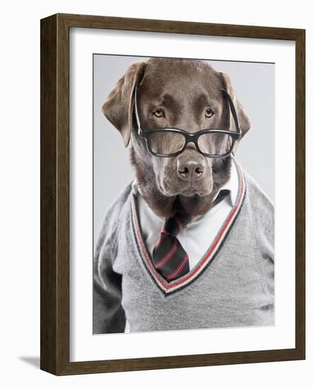 Dog in Sweater and Glasses-Justin Paget-Framed Photographic Print