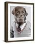 Dog in Sweater and Glasses-Justin Paget-Framed Photographic Print