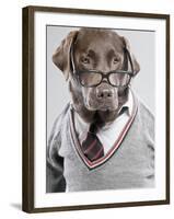 Dog in Sweater and Glasses-Justin Paget-Framed Photographic Print