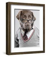 Dog in Sweater and Glasses-Justin Paget-Framed Photographic Print