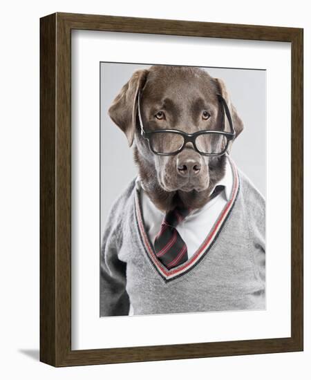 Dog in Sweater and Glasses-Justin Paget-Framed Photographic Print