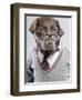 Dog in Sweater and Glasses-Justin Paget-Framed Photographic Print