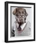 Dog in Sweater and Glasses-Justin Paget-Framed Photographic Print