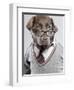 Dog in Sweater and Glasses-Justin Paget-Framed Photographic Print