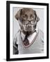 Dog in Sweater and Glasses-Justin Paget-Framed Photographic Print