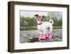 Dog in the Rain-Javier Brosch-Framed Photographic Print