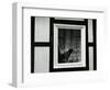 Dog In Window, Europe, 1968-Brett Weston-Framed Photographic Print