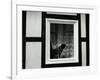 Dog In Window, Europe, 1968-Brett Weston-Framed Photographic Print