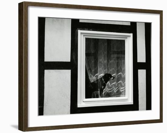 Dog In Window, Europe, 1968-Brett Weston-Framed Photographic Print