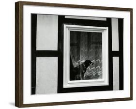 Dog In Window, Europe, 1968-Brett Weston-Framed Photographic Print