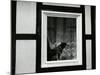 Dog In Window, Europe, 1968-Brett Weston-Mounted Photographic Print