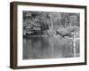 Dog Jumping into Water-Philip Gendreau-Framed Photographic Print