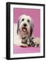 Dog, Kittens Head Rests on Paw-null-Framed Photographic Print